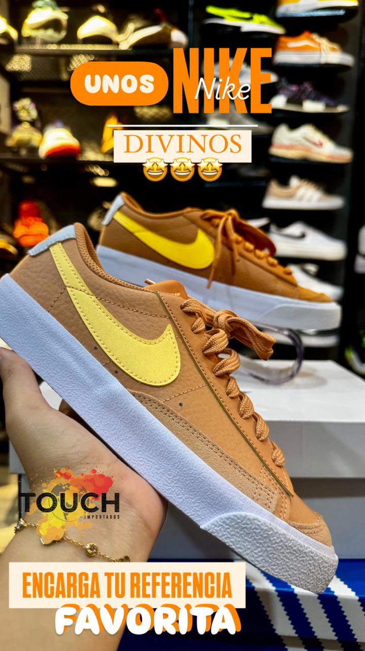 NIKE BLAZER LOW 77 (13113)